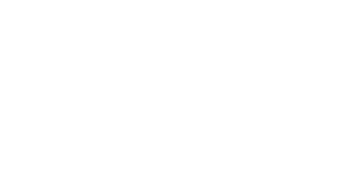 banfi logo