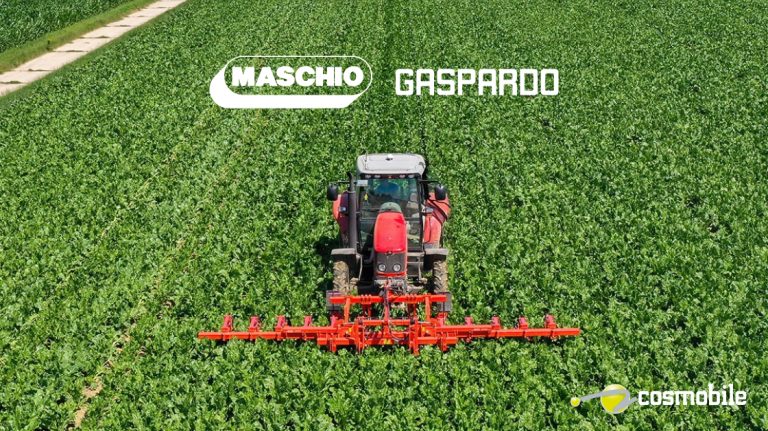maschio gaspardo