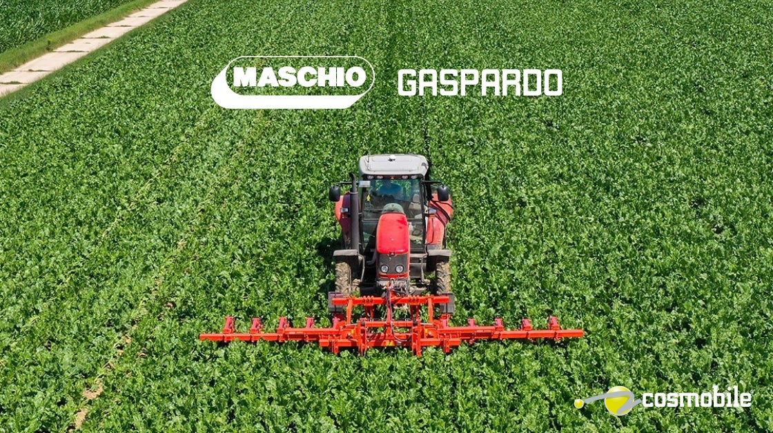 maschio gaspardo